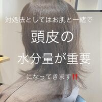 画像1384