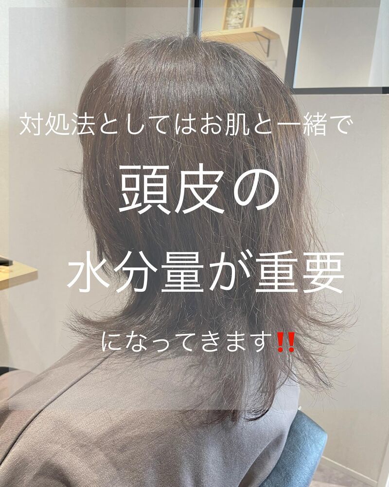 画像1384