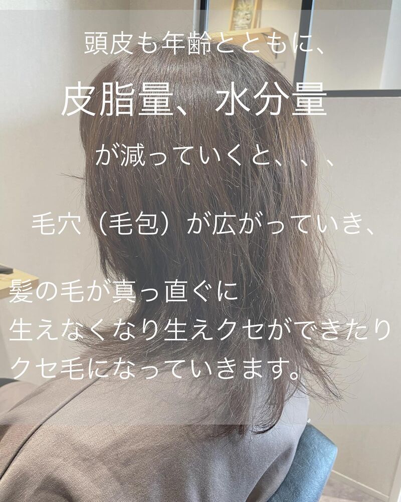 画像1385