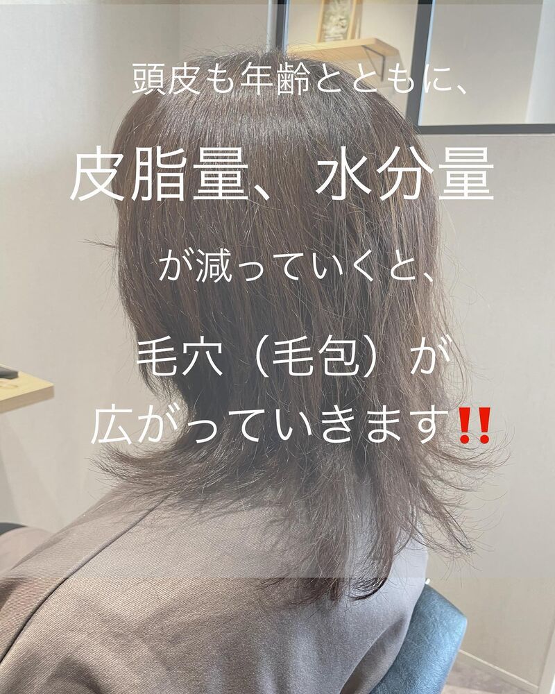 画像1386