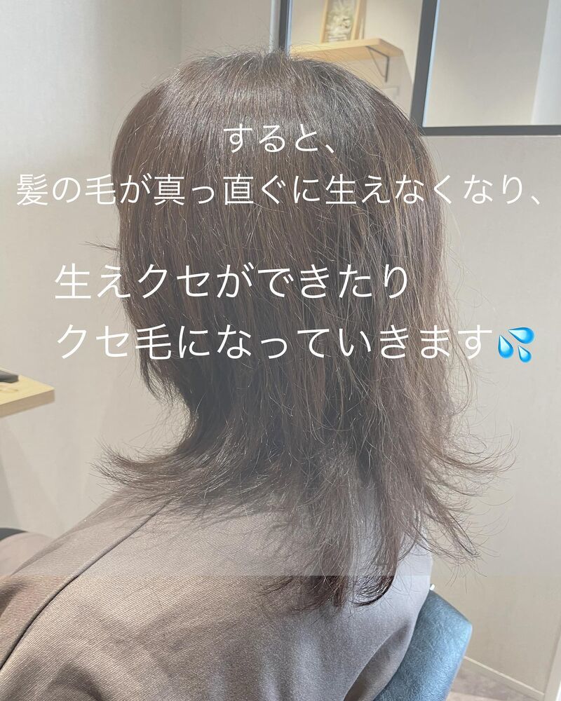画像1388