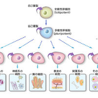 画像1517