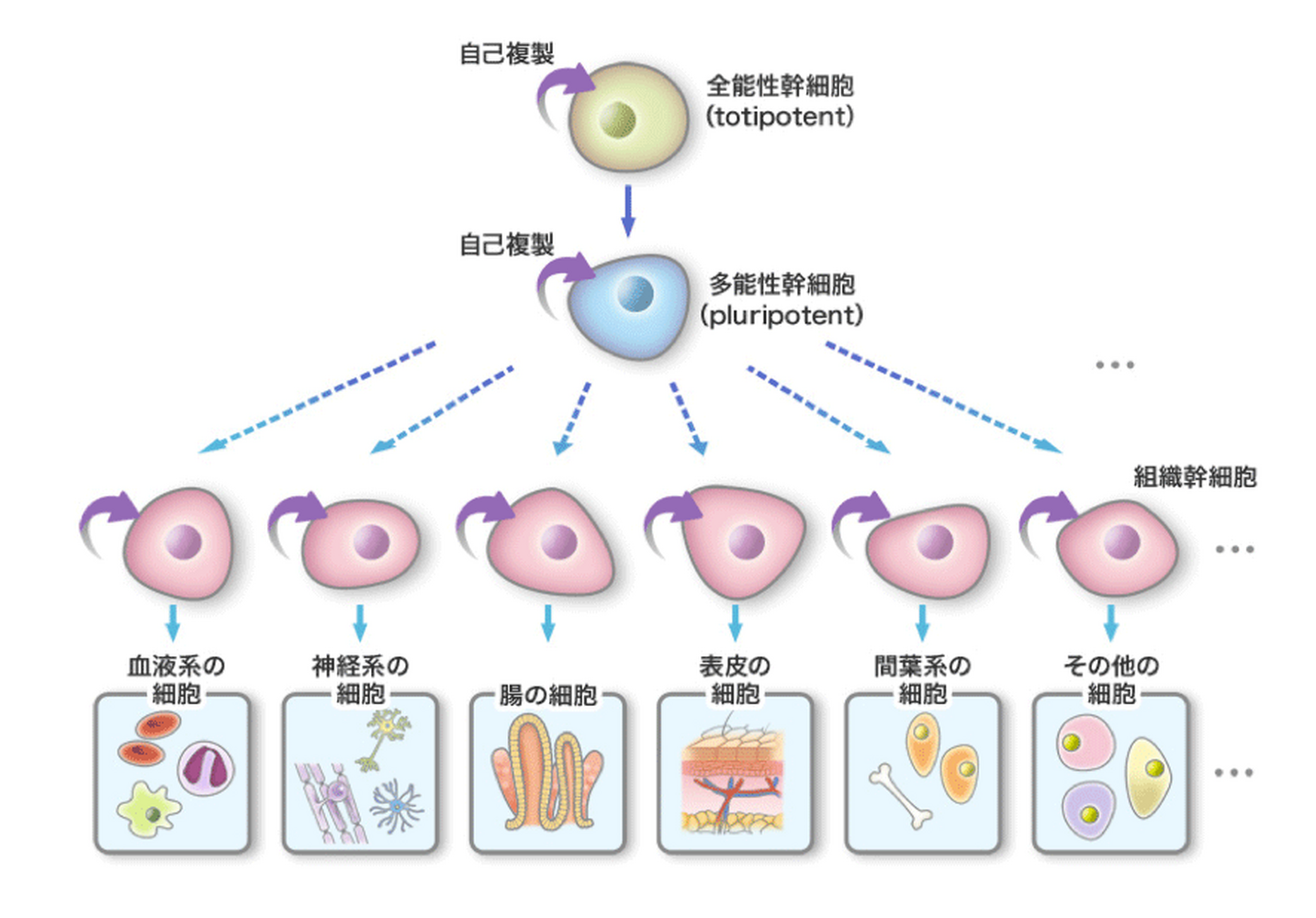 画像1517